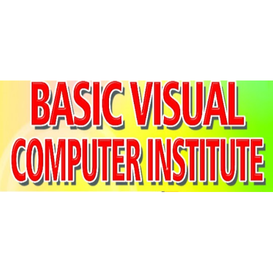 Basic Visual Computer Institute