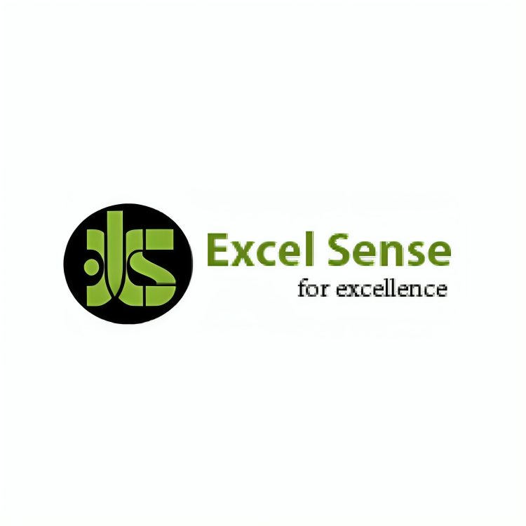 Excel Sense