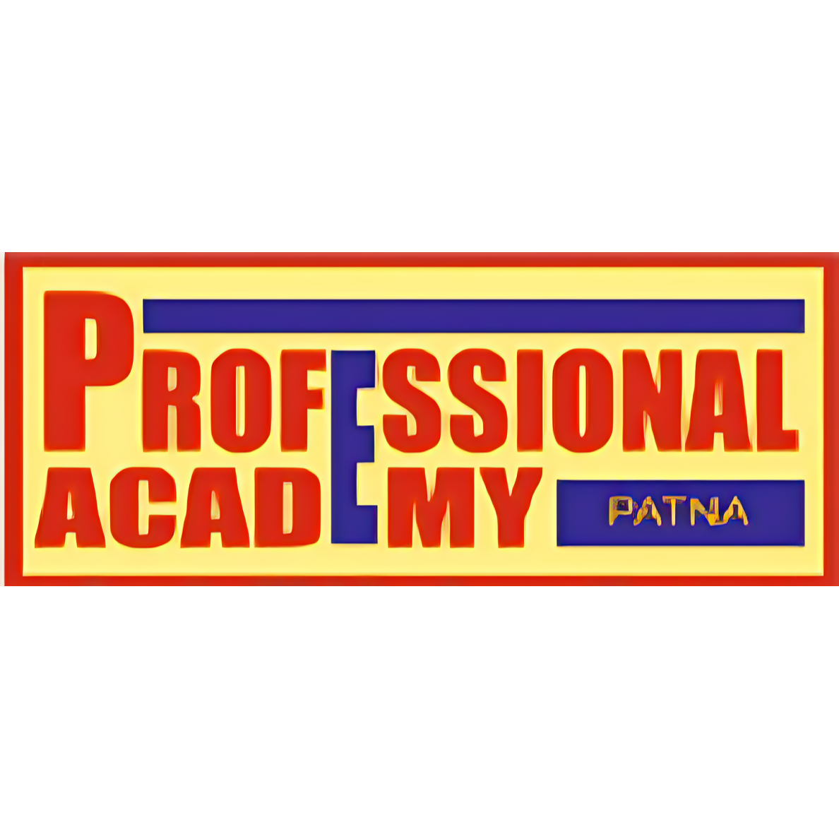 Professional Academy