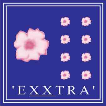 Exxtra Institute for English & Personality Development