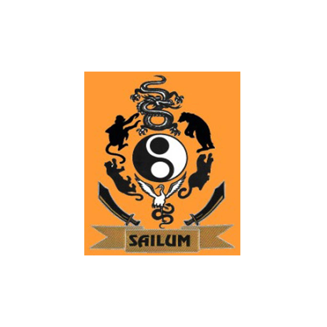 Sailum Martial Arts Academy