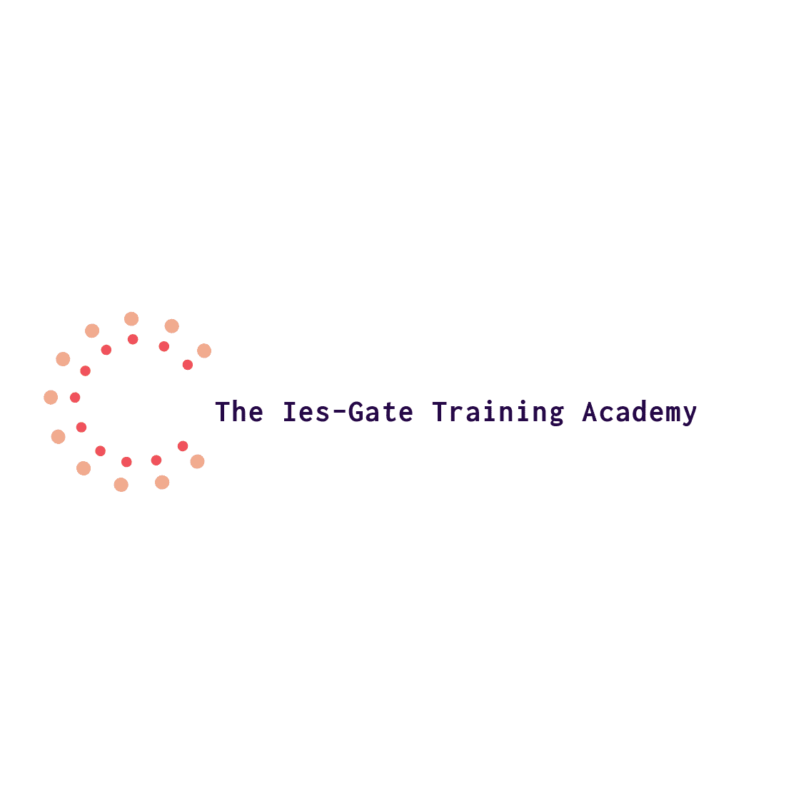 The Ies-Gate Training Academy