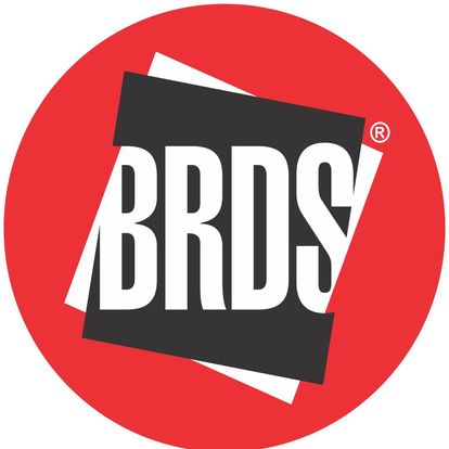 BRDS-Bhanwar Rathore Design Studio