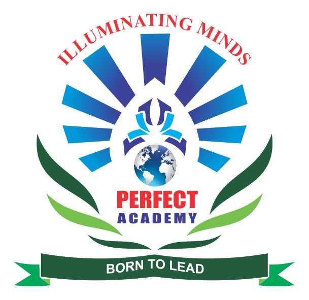 Perfect Academy