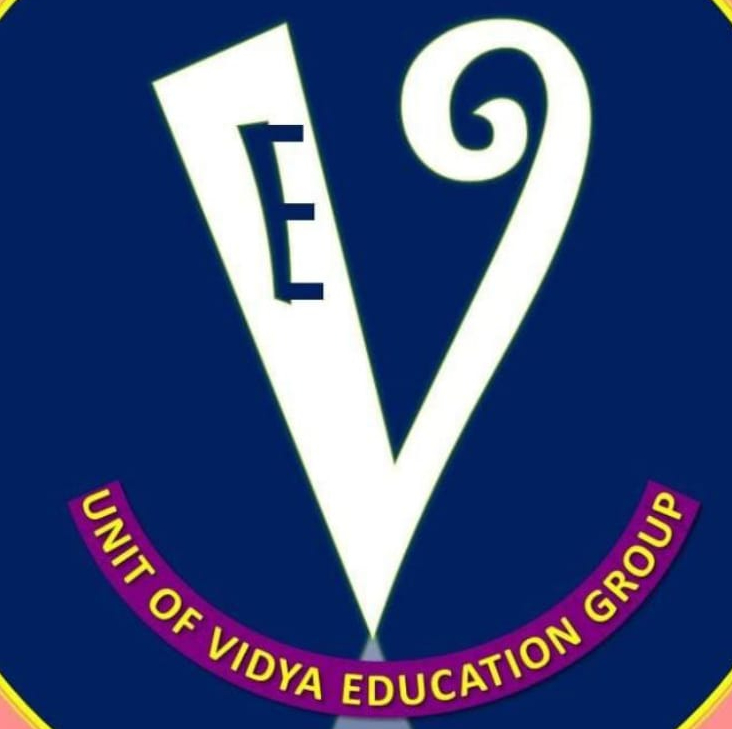 Vidya Education Group